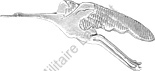 Image du produit aa81096300