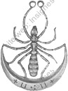 Image du produit af52131150
