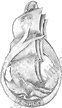 Image du produit cj10072800