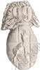 Image du produit in10991700