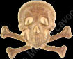 Image du produit ge08501600