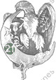 Image du produit af10621750