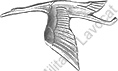 Image du produit aa81104070