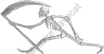 Image du produit aa81130200