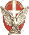 Image du produit in10711250