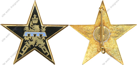 Image du produit in10996600
