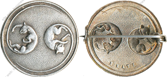 Image du produit in10691700