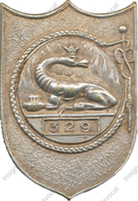 Image du produit in13290020