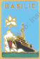 Image du produit ma99127700