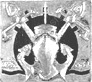 Image du produit ma99228100