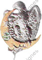 Image du produit af10621400
