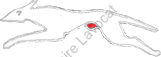 Image du produit aa81060250