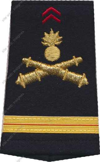 Image du produit ar10089850