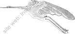 Image du produit aa81096300