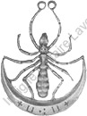 Image du produit af52131150