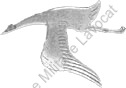 Image du produit aa30121500