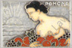 Image du produit ma99280510