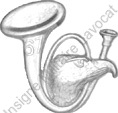 Image du produit ch20671300