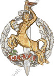 Image du produit sv00515000