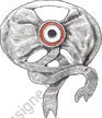 Image du produit aa20232320