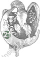 Image du produit af10621750