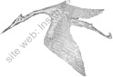 Image du produit aa30121400