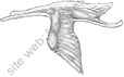 Image du produit aa30121200