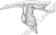 Image du produit aa30121200