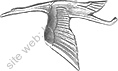 Image du produit aa81104070