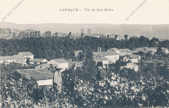 Image du produit cp81000016