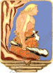 Image du produit aa80905200
