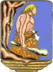 Image du produit aa80905100