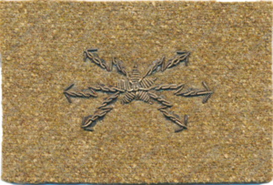 Image du produit ts05045550