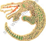 Image du produit aa81208200