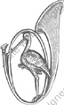 Image du produit ch20312000