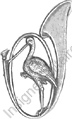 Image du produit ch20312000