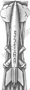 Image du produit ar13512500