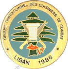 Image du produit oe20106265