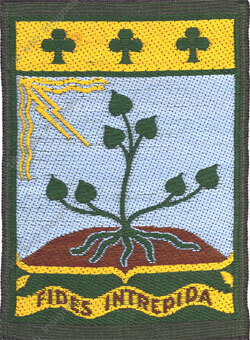 Image du produit cj00092200