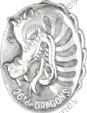 Image du produit ab50261200