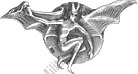Image du produit aa20262450