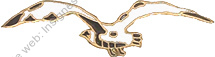 Image du produit aa81129100