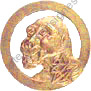 Image du produit af31381100