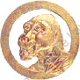Image du produit af31381100